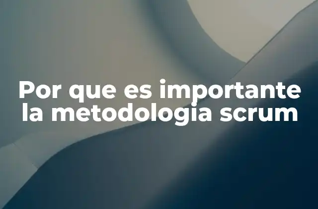 Por que es Importante la Metodologia Scrum