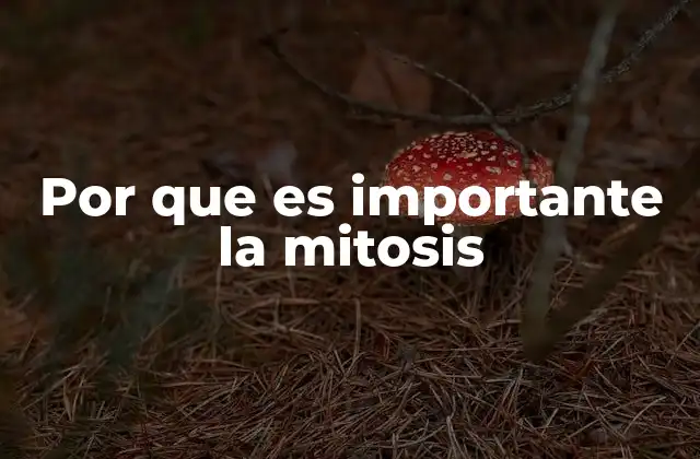 Por que es Importante la Mitosis