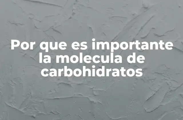 Por que es Importante la Molecula de Carbohidratos