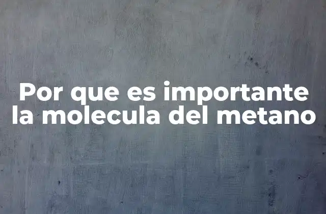 Por que es Importante la Molecula Del Metano