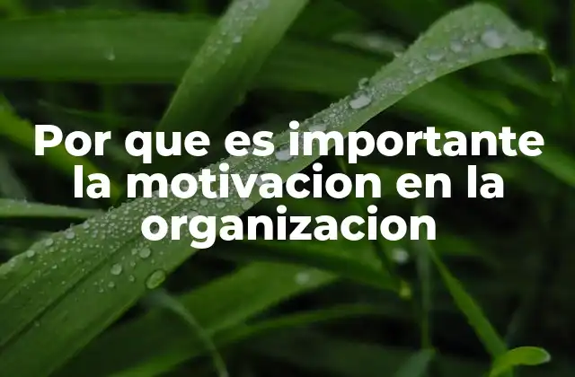 Por que es Importante la Motivacion en la Organizacion