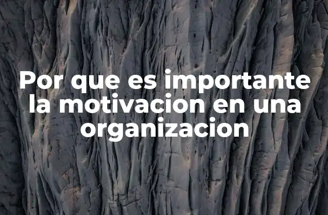 Por que es Importante la Motivacion en una Organizacion