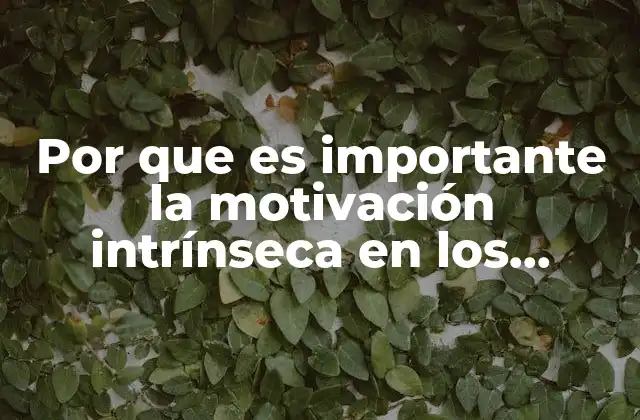 Por que es Importante la Motivación Intrínseca en los Estudiantes