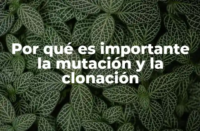 Por Qué es Importante la Mutación y la Clonación