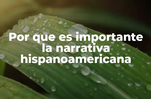 Por que es Importante la Narrativa Hispanoamericana