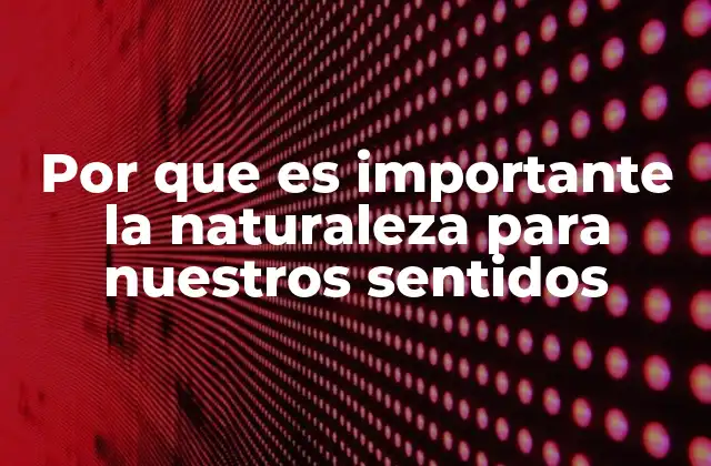 Por que es Importante la Naturaleza para Nuestros Sentidos 21 El impacto sensorial de los ambientes naturales en la salud