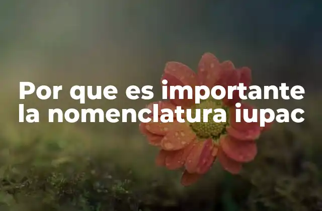 Por que es Importante la Nomenclatura Iupac