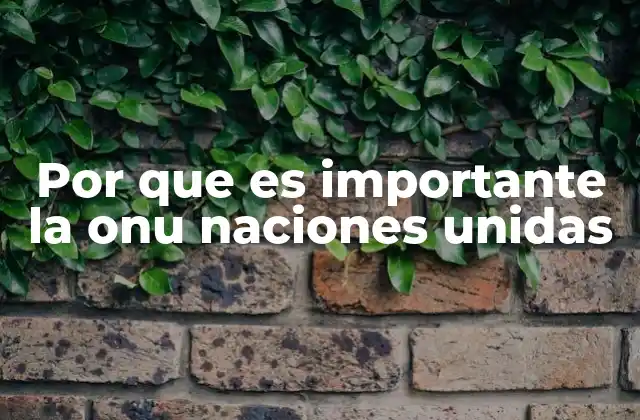 Por que es Importante la Onu Naciones Unidas