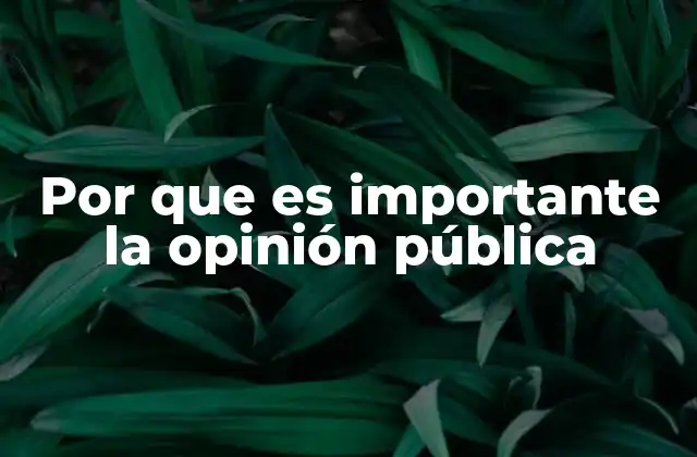 Por que es Importante la Opinión Pública 2 El poder de la percepción colectiva en la toma de decisiones