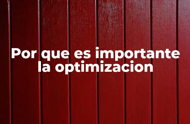 Por que es Importante la Optimizacion