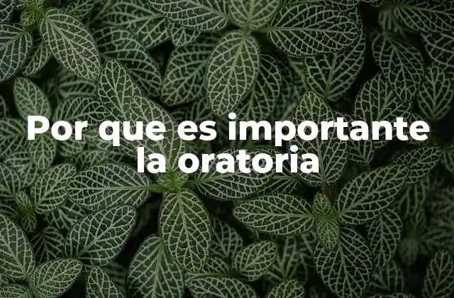 Por que es Importante la Oratoria 7 El poder de la comunicación efectiva