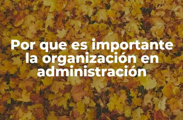 Por que es Importante la Organización en Administración