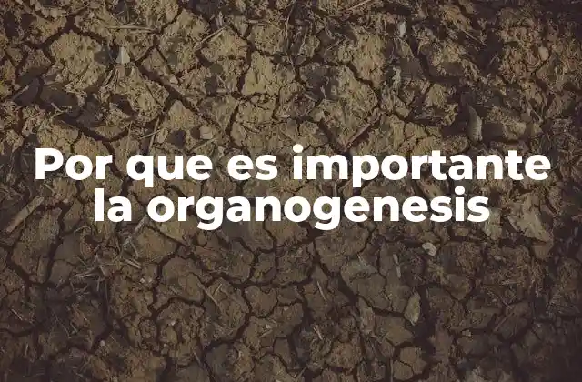 Por que es Importante la Organogenesis