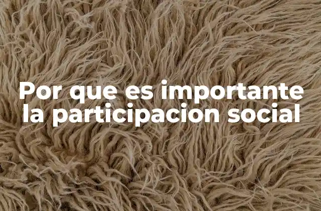 Por que es Importante la Participacion Social