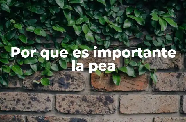 Por que es Importante la Pea