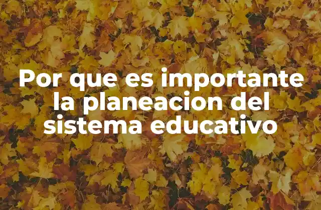 Por que es Importante la Planeacion Del Sistema Educativo