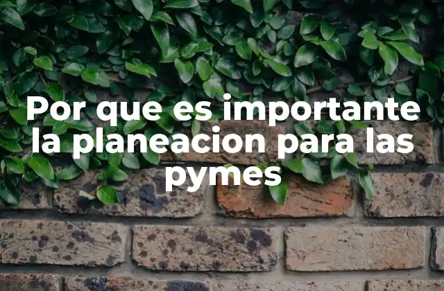 Por que es Importante la Planeacion para las Pymes