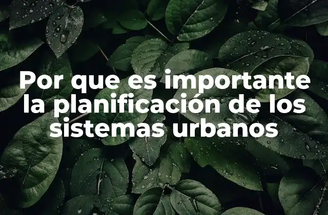 Por que es Importante la Planificación de los Sistemas Urbanos