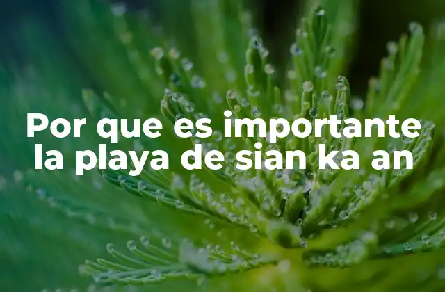 Por que es Importante la Playa de Sian Ka An