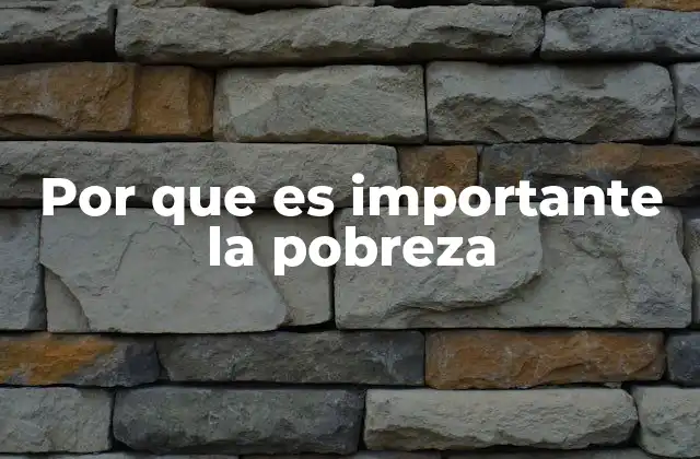 Por que es Importante la Pobreza