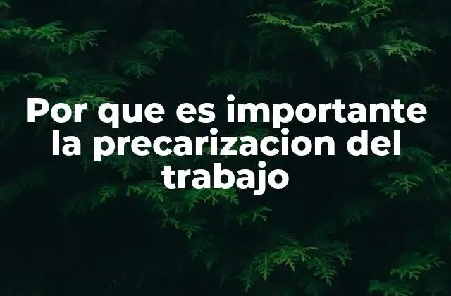 Por que es Importante la Precarizacion Del Trabajo