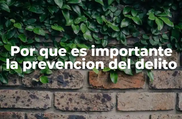 El impacto de la prevención en la seguridad ciudadana