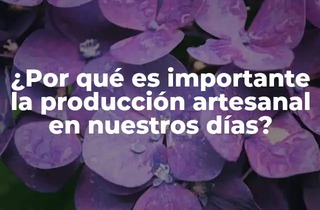 ¿por Qué es Importante la Producción Artesanal en Nuestros Días?