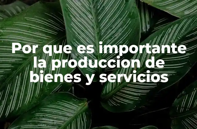 Por que es Importante la Produccion de Bienes y Servicios