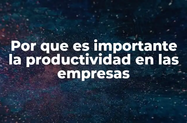 Por que es Importante la Productividad en las Empresas