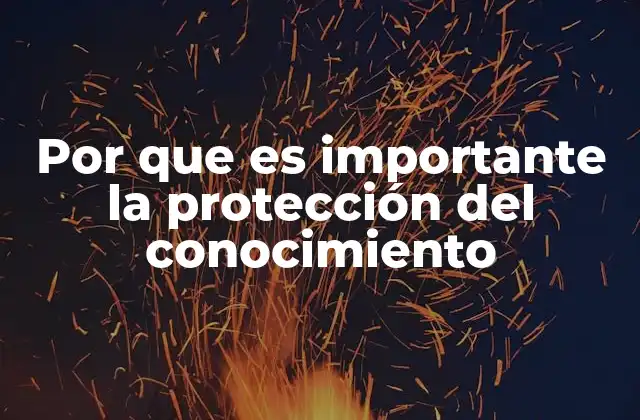 Por que es Importante la Protección Del Conocimiento