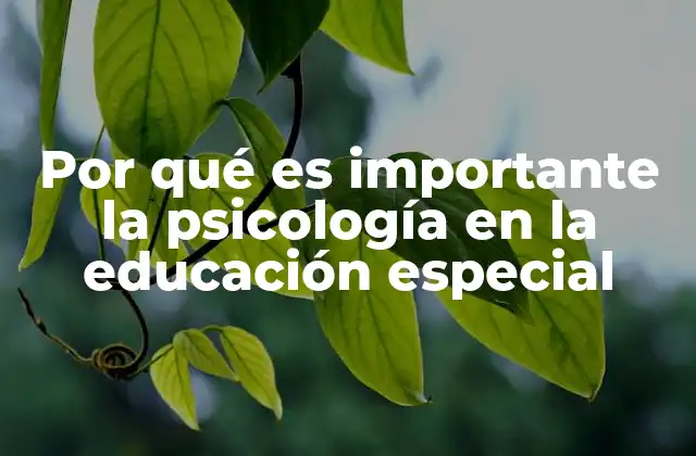 Por Qué es Importante la Psicología en la Educación Especial