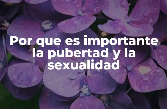 Por que es Importante la Pubertad y la Sexualidad