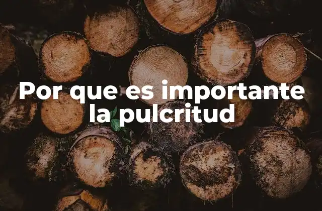 Por que es Importante la Pulcritud