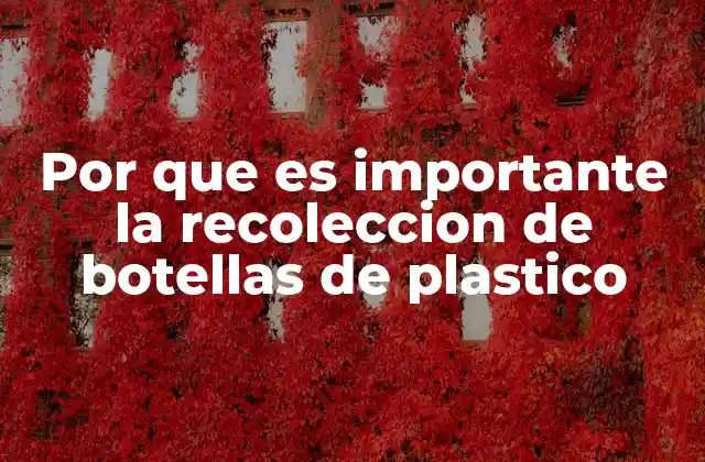 Por que es Importante la Recoleccion de Botellas de Plastico