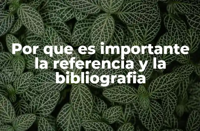 Por que es Importante la Referencia y la Bibliografia
