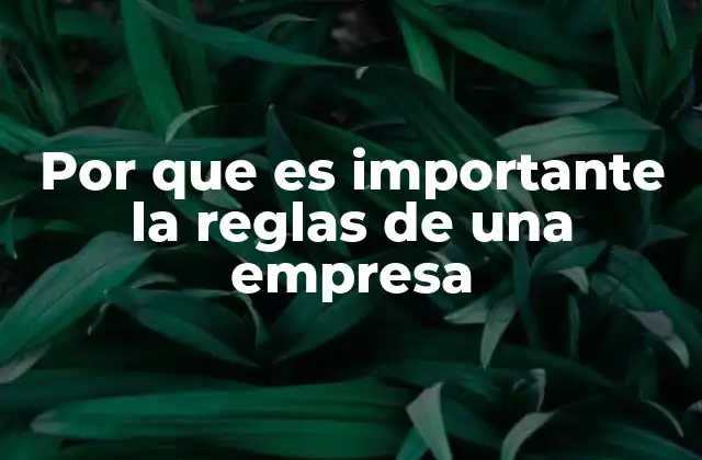 Por que es Importante la Reglas de una Empresa