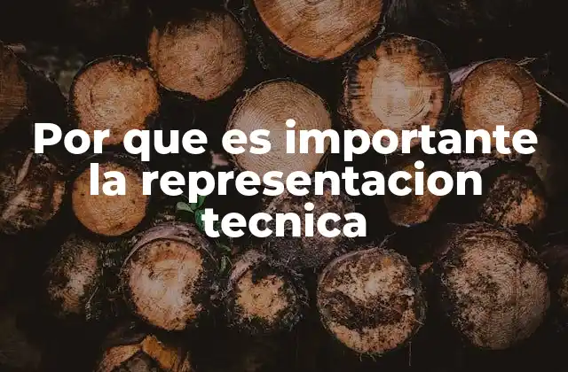 Por que es Importante la Representacion Tecnica