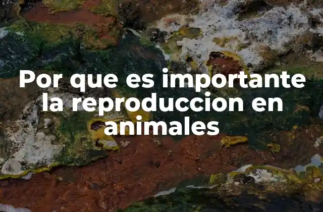 Por que es Importante la Reproduccion en Animales