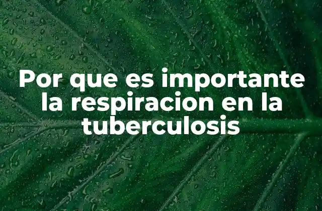 Por que es Importante la Respiracion en la Tuberculosis