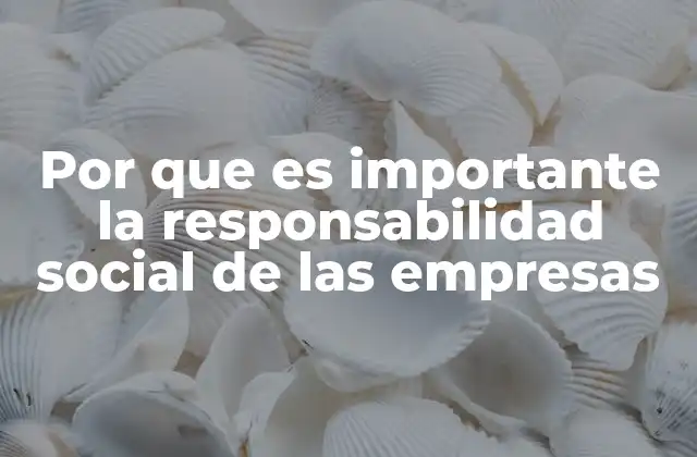 Por que es Importante la Responsabilidad Social de las Empresas