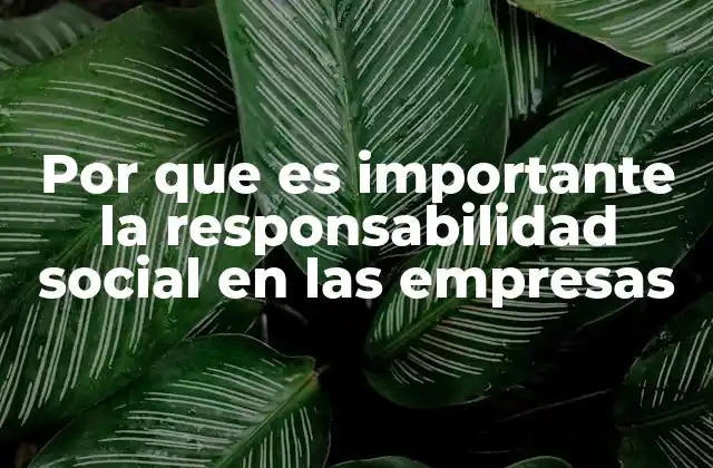 Por que es Importante la Responsabilidad Social en las Empresas
