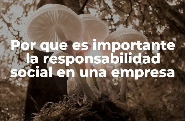 Por que es Importante la Responsabilidad Social en una Empresa