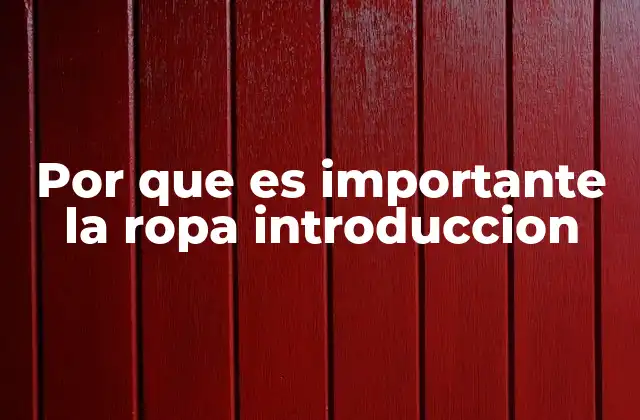 Por que es Importante la Ropa Introduccion