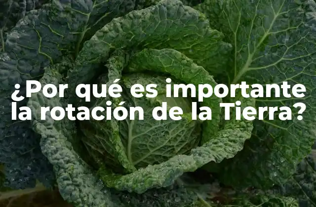 ¿por Qué es Importante la Rotación de la Tierra?