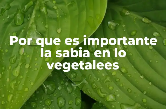 Por que es Importante la Sabia en Lo Vegetalees