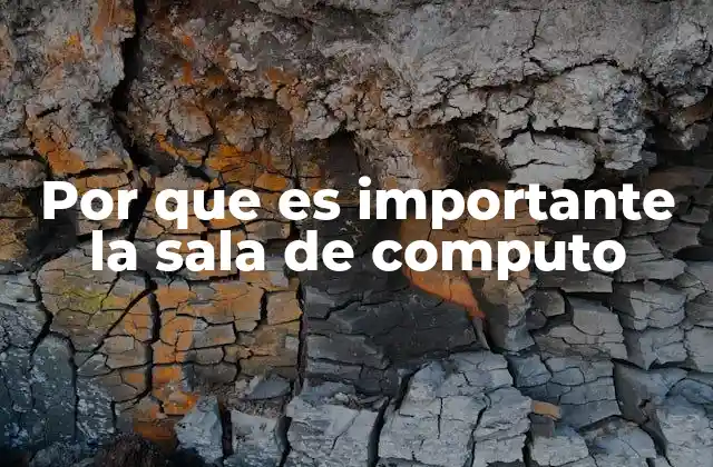 Por que es Importante la Sala de Computo