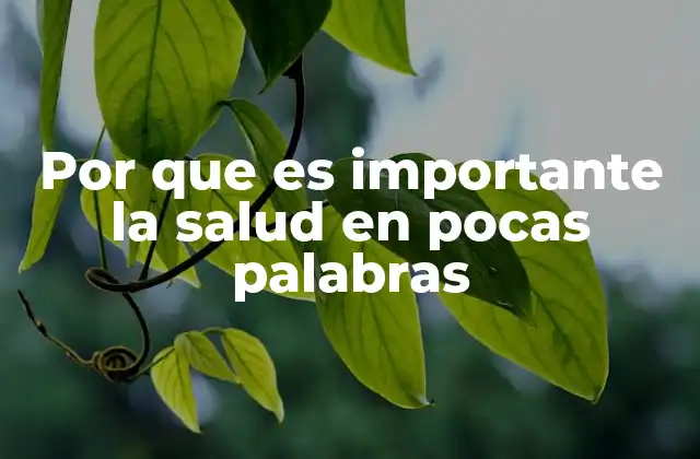 Por que es Importante la Salud en Pocas Palabras