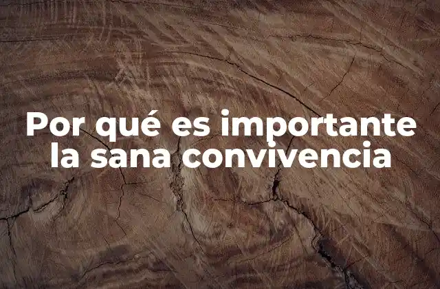 Por Qué es Importante la Sana Convivencia