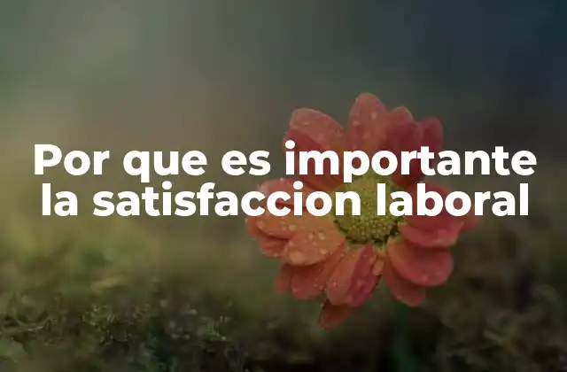 Por que es Importante la Satisfaccion Laboral