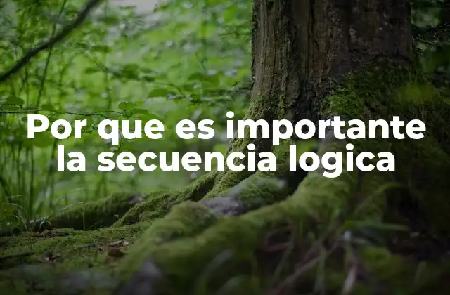 Por que es Importante la Secuencia Logica